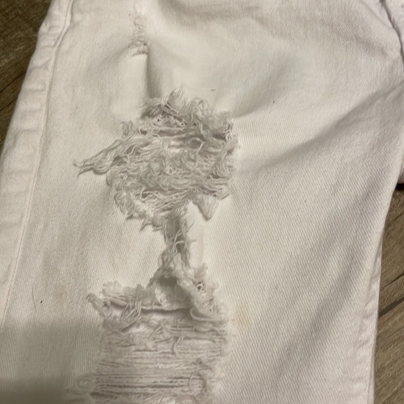 Evolution in Design - Picture 6 of 8